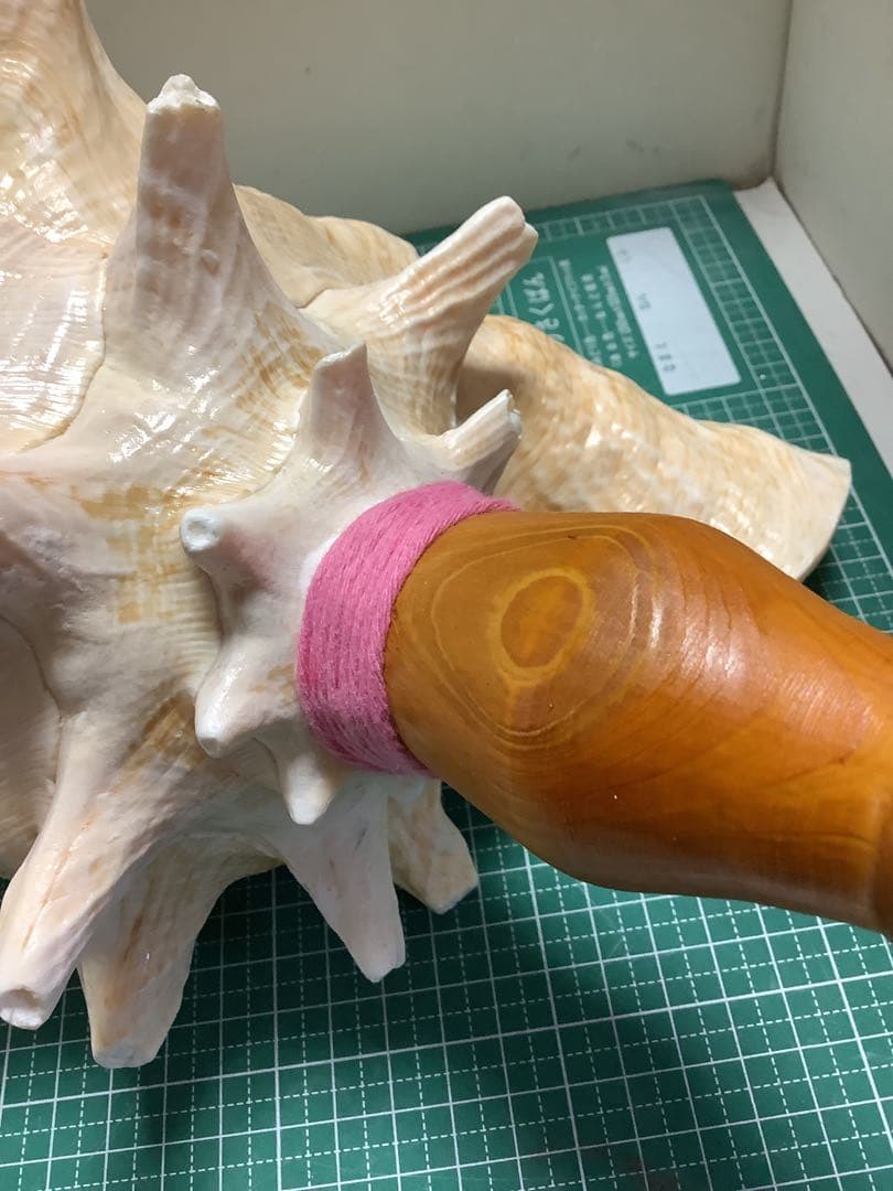 ヤフメリ58・ピンクガイ・法螺貝・山伏・修験者・豊臣兄弟・羽黒山