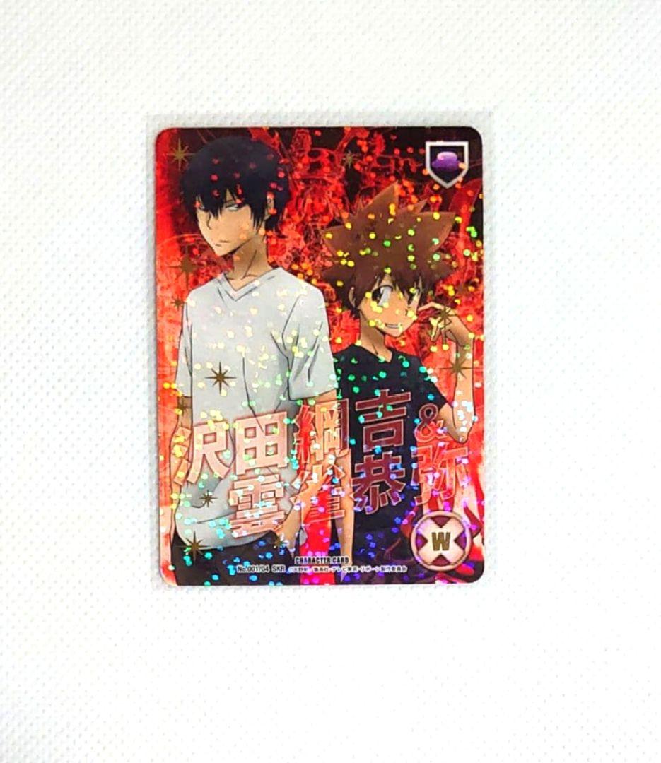 家庭教師ヒットマンREBORN！CCG SKR 死ぬ気レア 沢田綱吉 雲雀恭弥