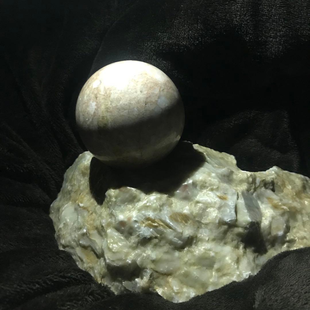 コア「核」高額当選　南米　地位と名声　お金持ち　金運