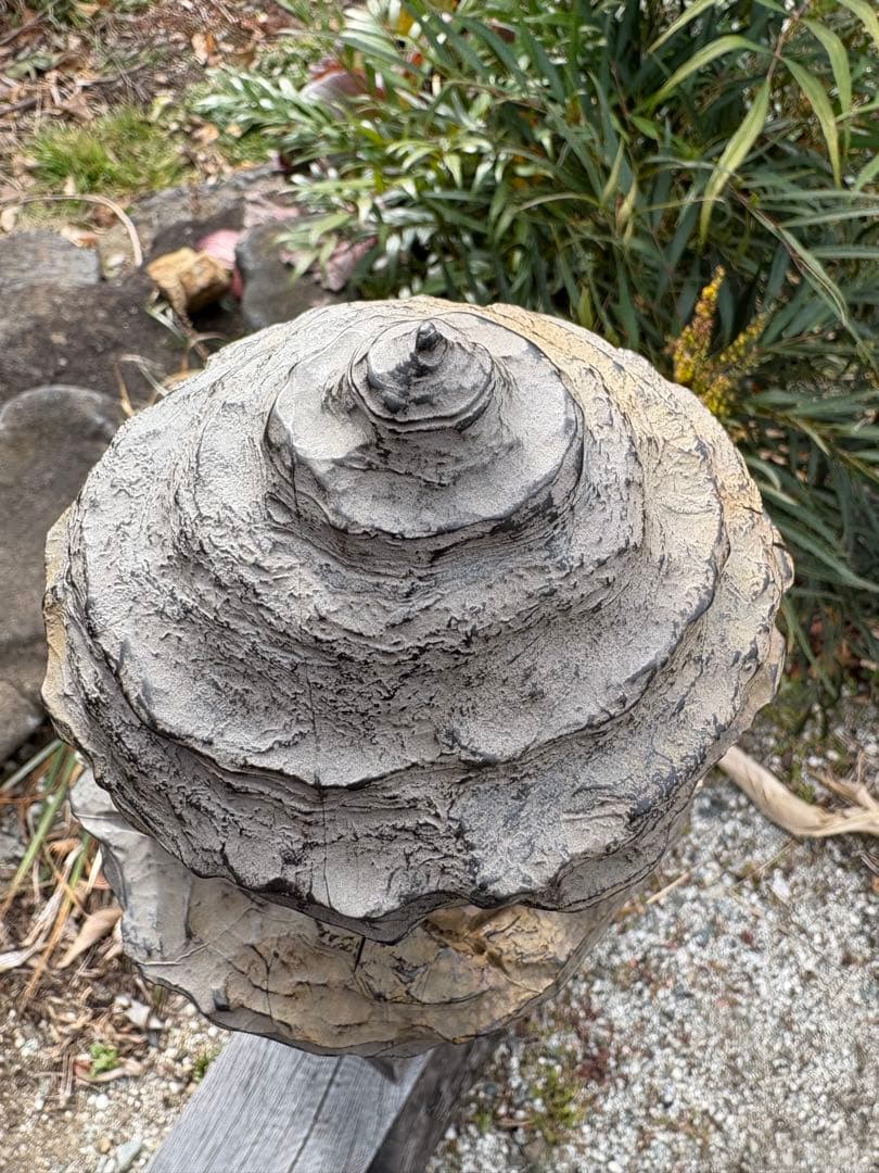 ❗️✳️超レア　❤️*天然形 極みの逸品 夜郎・古銅石 寺　貴州産 2.4kg