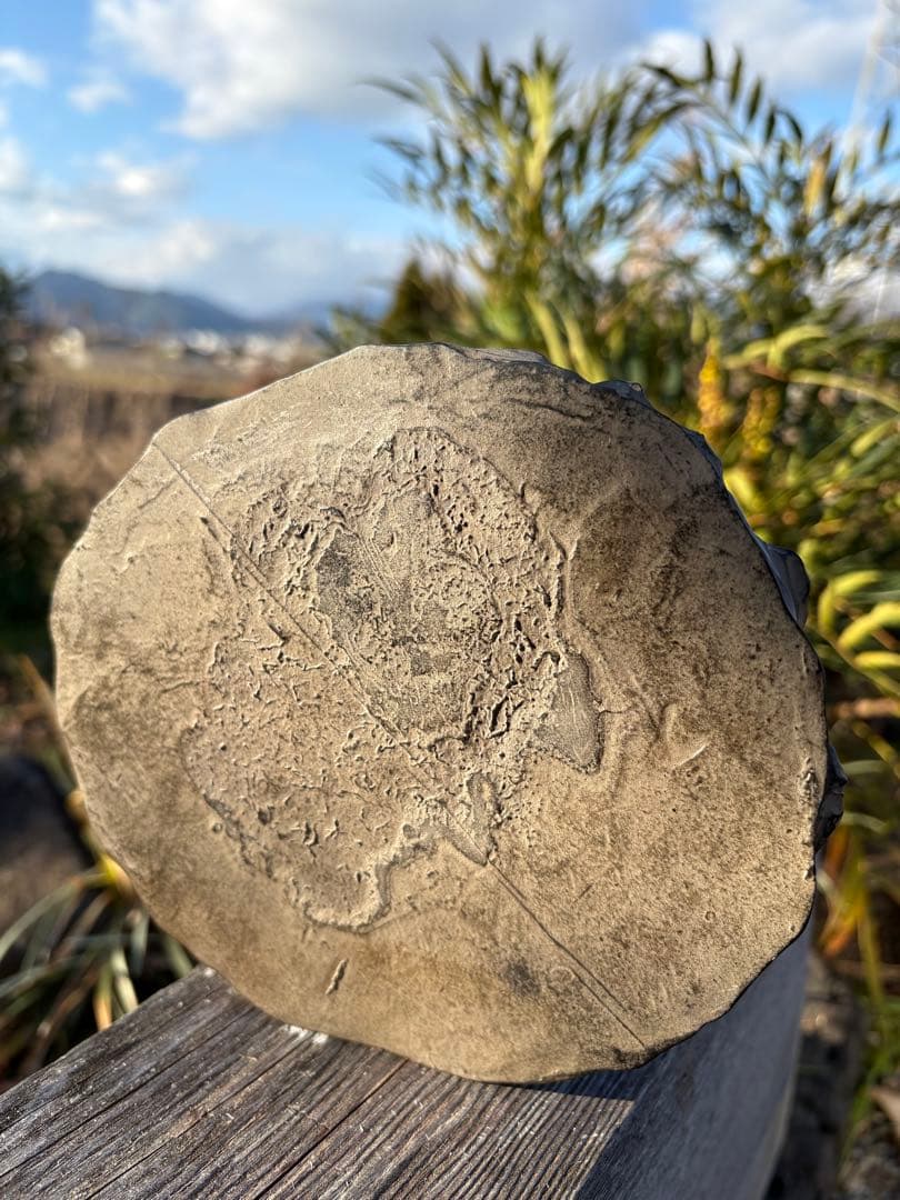 ❗️✳️超レア　❤️*天然形 極みの逸品 夜郎・古銅石 寺　貴州産 2.4kg