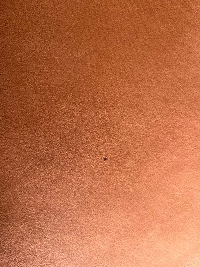 ◇クラッシュゲート ソファ 関家具