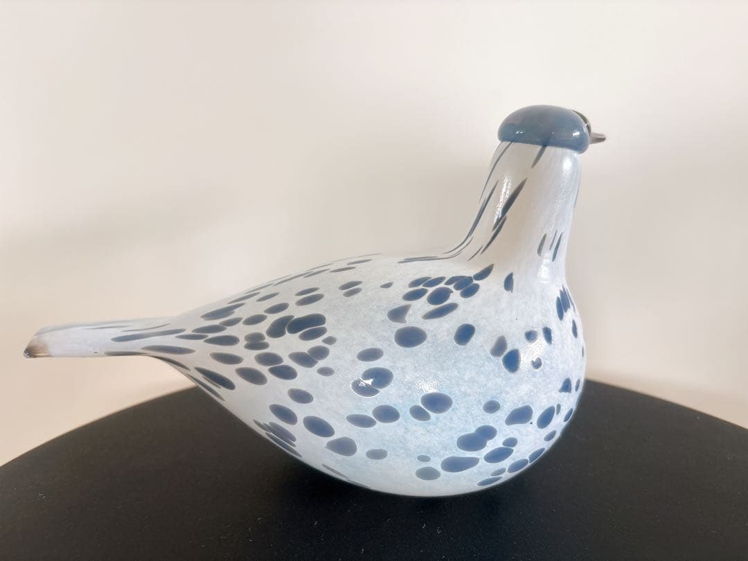 2013年アニュアルバード Mistle Thrush