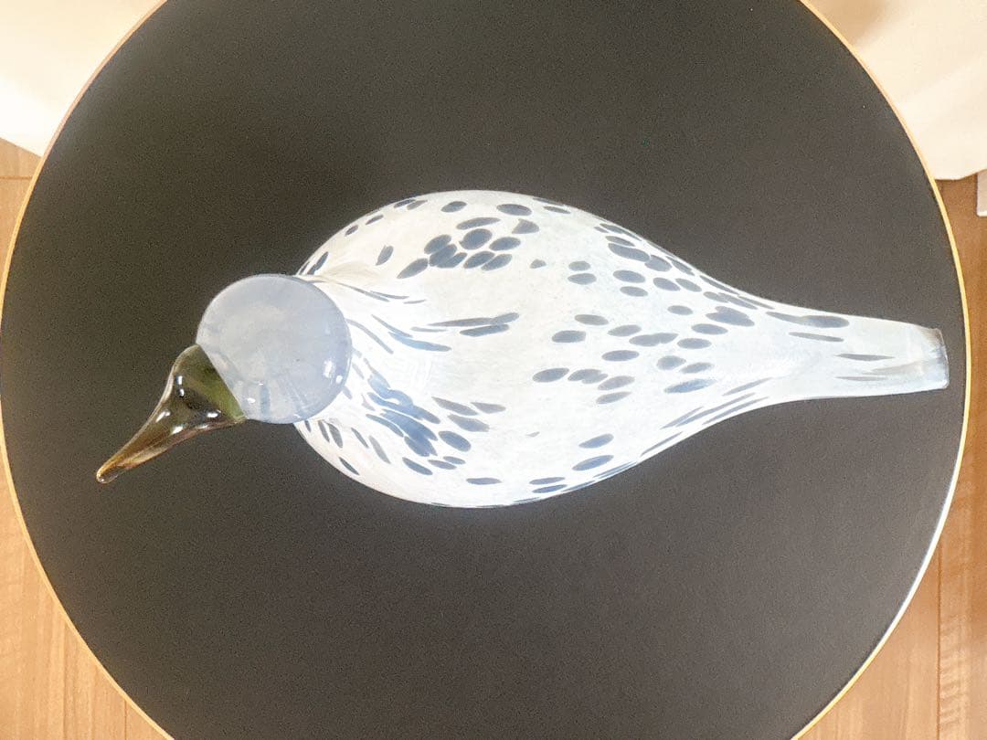 2013年アニュアルバード Mistle Thrush