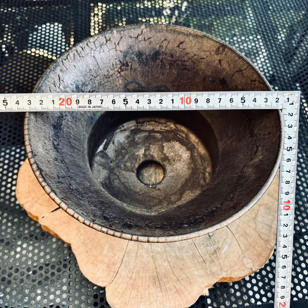 作家鉢 植木鉢 船串篤司 アガベ パキプス グラキリス 塊根 灌木 特大鉢