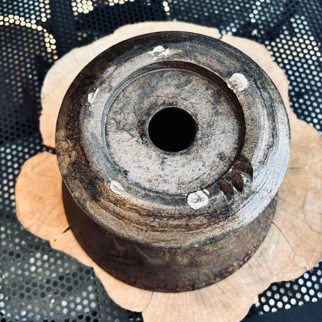 作家鉢 植木鉢 船串篤司 アガベ パキプス グラキリス 塊根 灌木 特大鉢