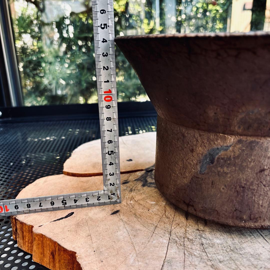 作家鉢 植木鉢 船串篤司 アガベ パキプス グラキリス 塊根 灌木 特大鉢