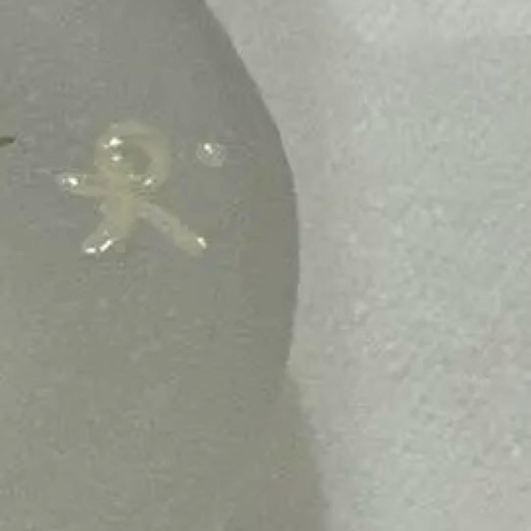 久保裕子　水のはしおき