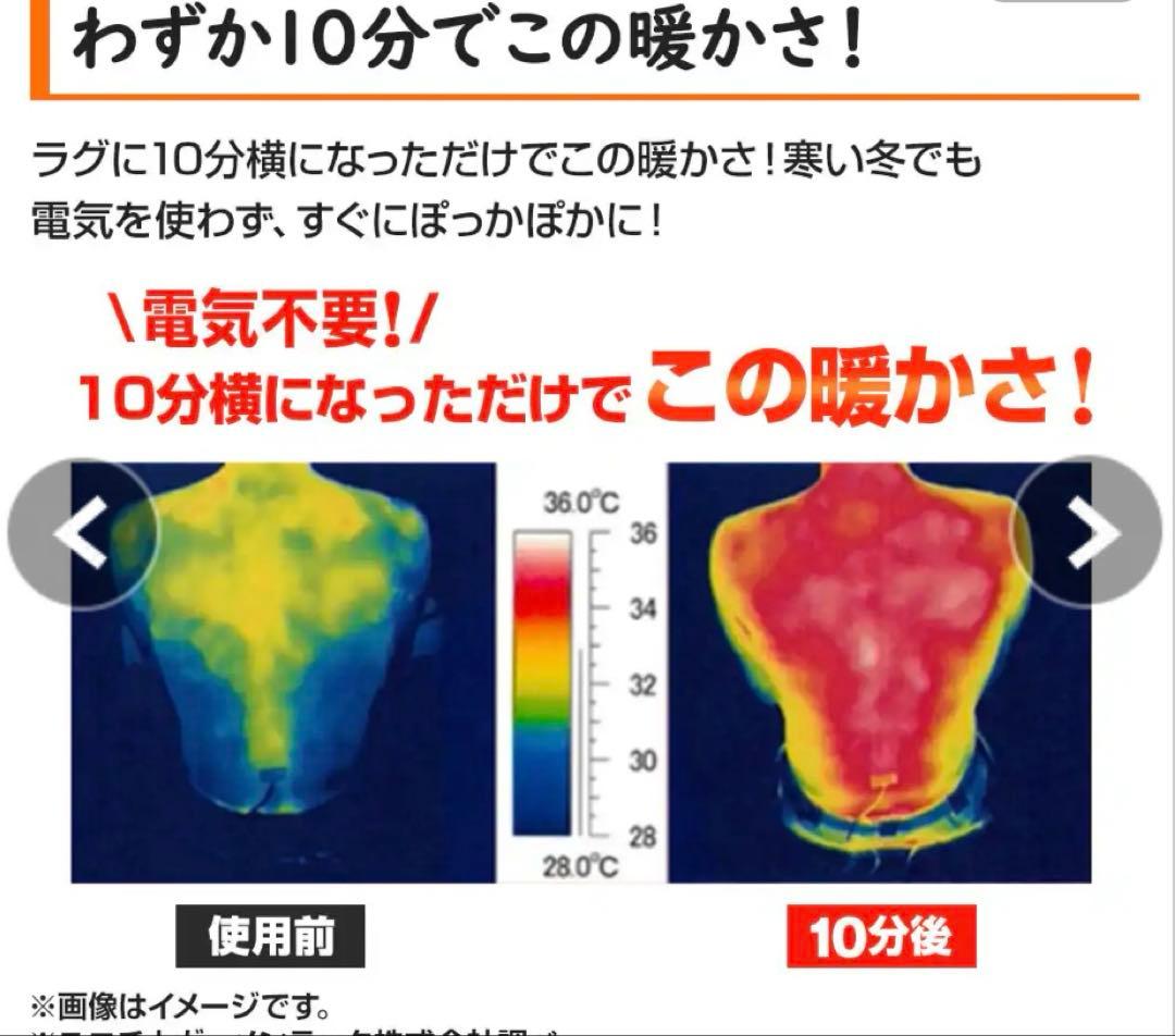 モリリン 6層ラグハイパー 2畳用 ブラウン