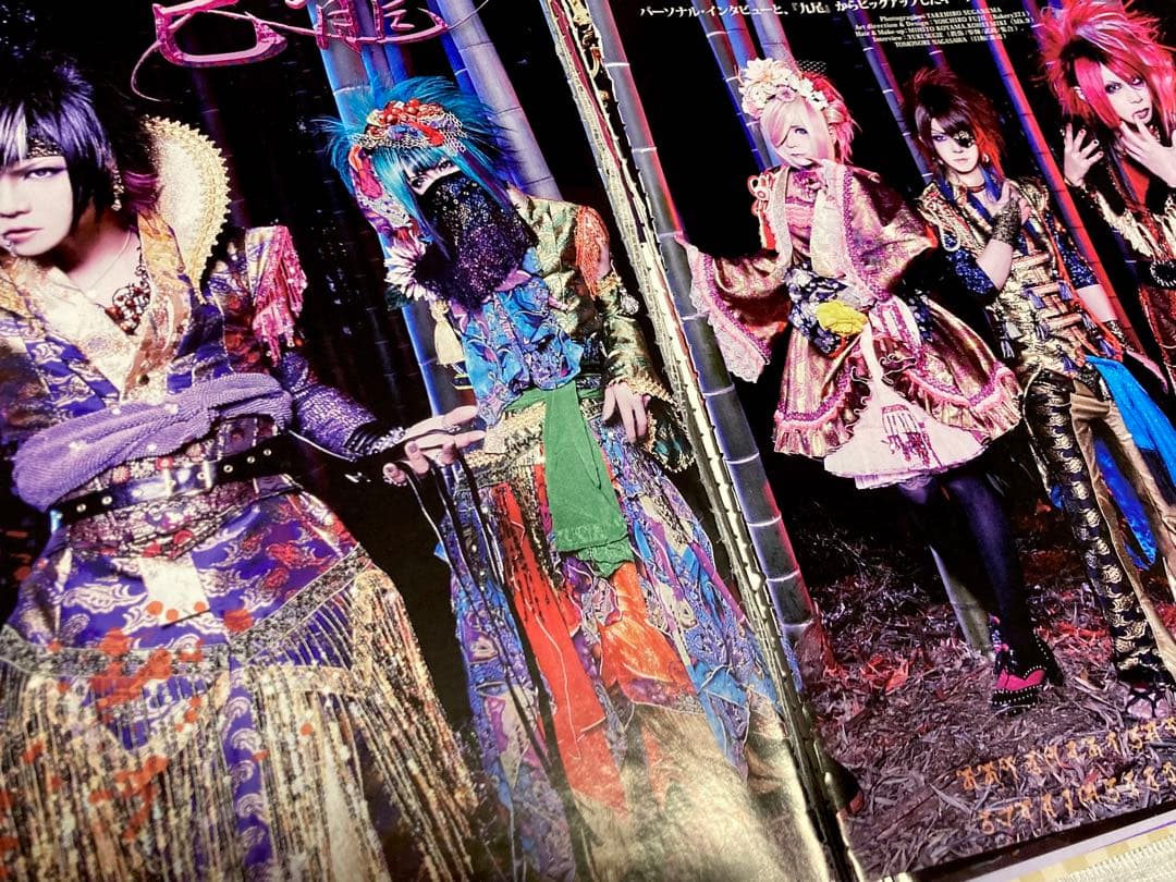 己龍 雑誌 切り抜き約60枚＋DVD1枚,ステッカー1枚 - ミュージシャン