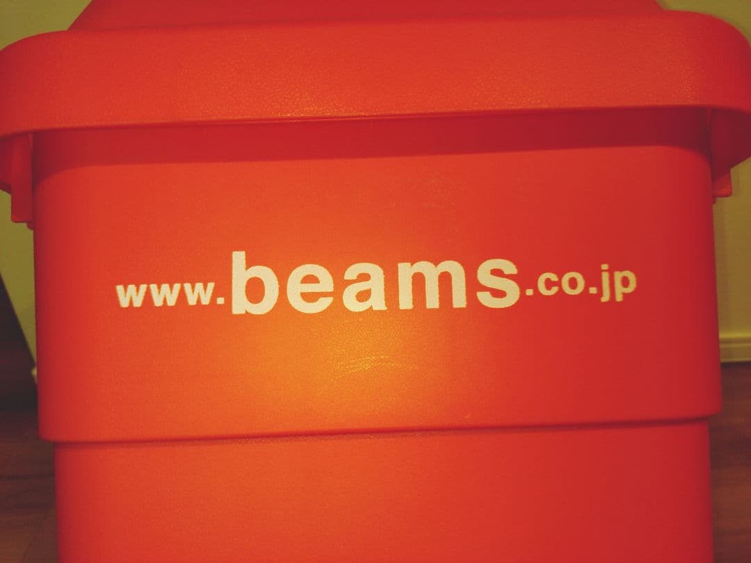 トランクカーゴ BEAMS 30L ボックス ビームス 50l