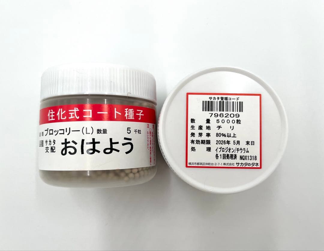 【お年玉価格】値下げ！ブロッコリー種子（おはよう）5000粒4個セット