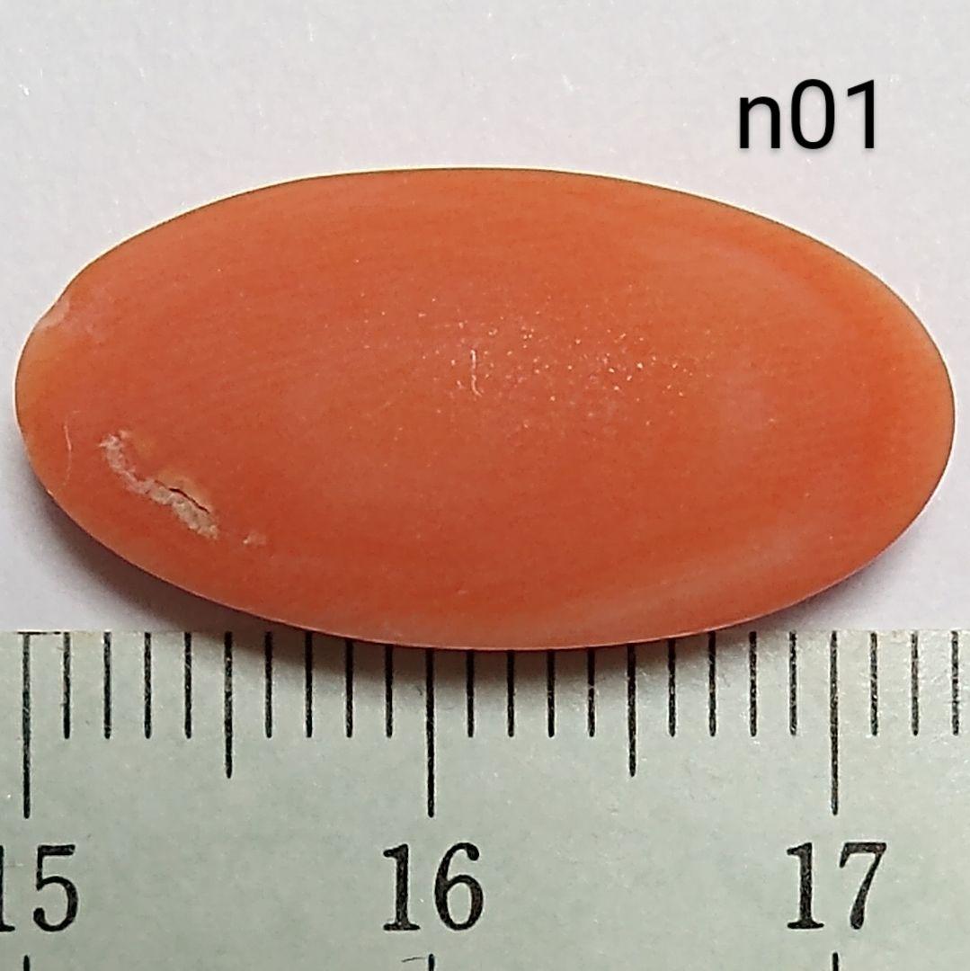 n01 天然 煌 本珊瑚ルース 11.2 ct 2.24 g