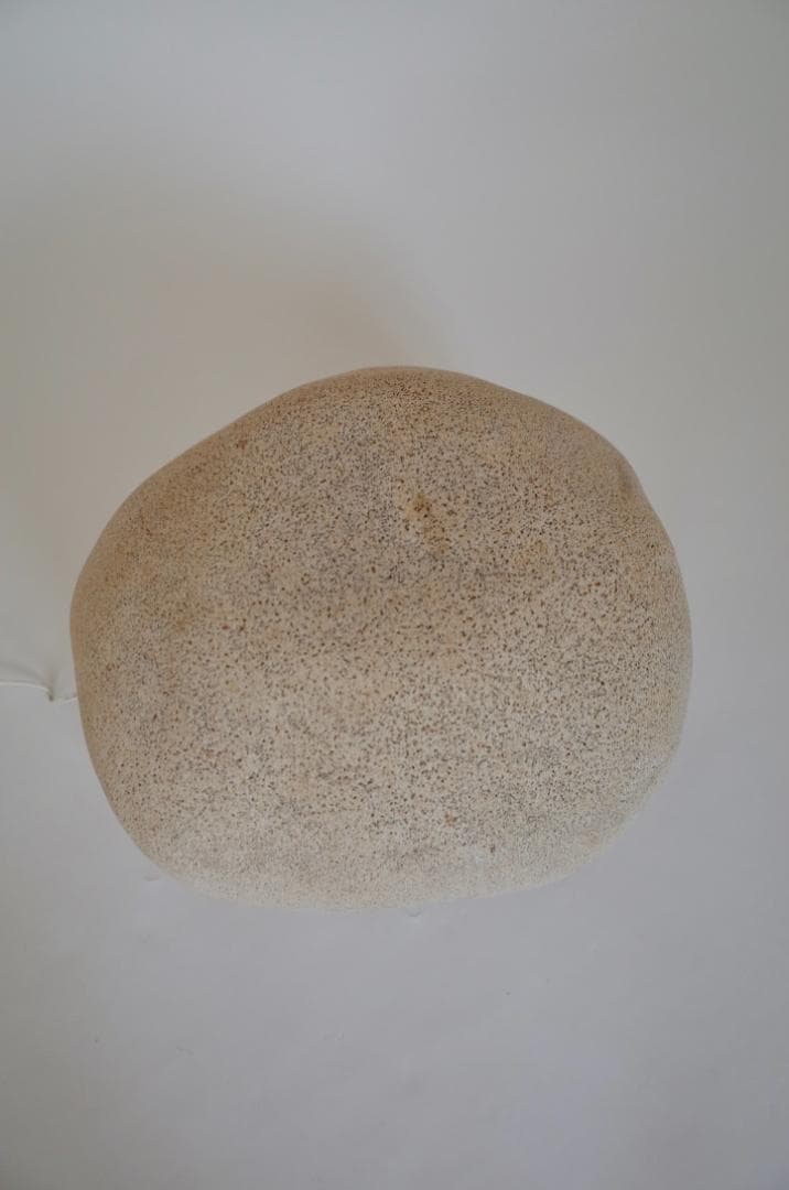 Dora Lamp Atelier A Andre Cazenave XLサイズ