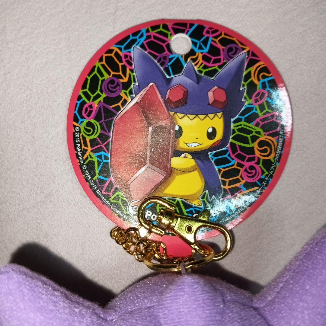 メガヤミラミポンチョを着たピカチュウ ぬいぐるみマスコット ポケモン