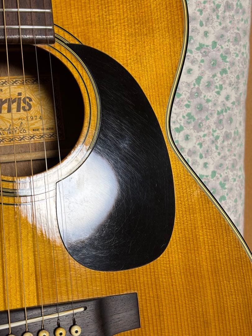 初心者、学生、女性の方に最適❗️ Morrisモーリス F-12アコギ 調整済