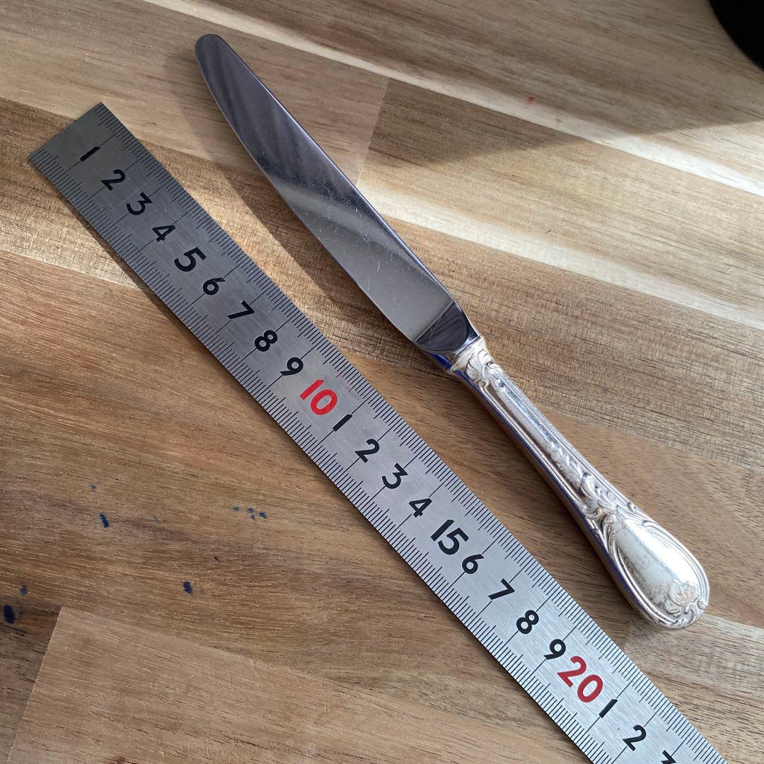 クリストフル ヴィランドリ クリストフルホテル仕様デザートナイフ10本セット