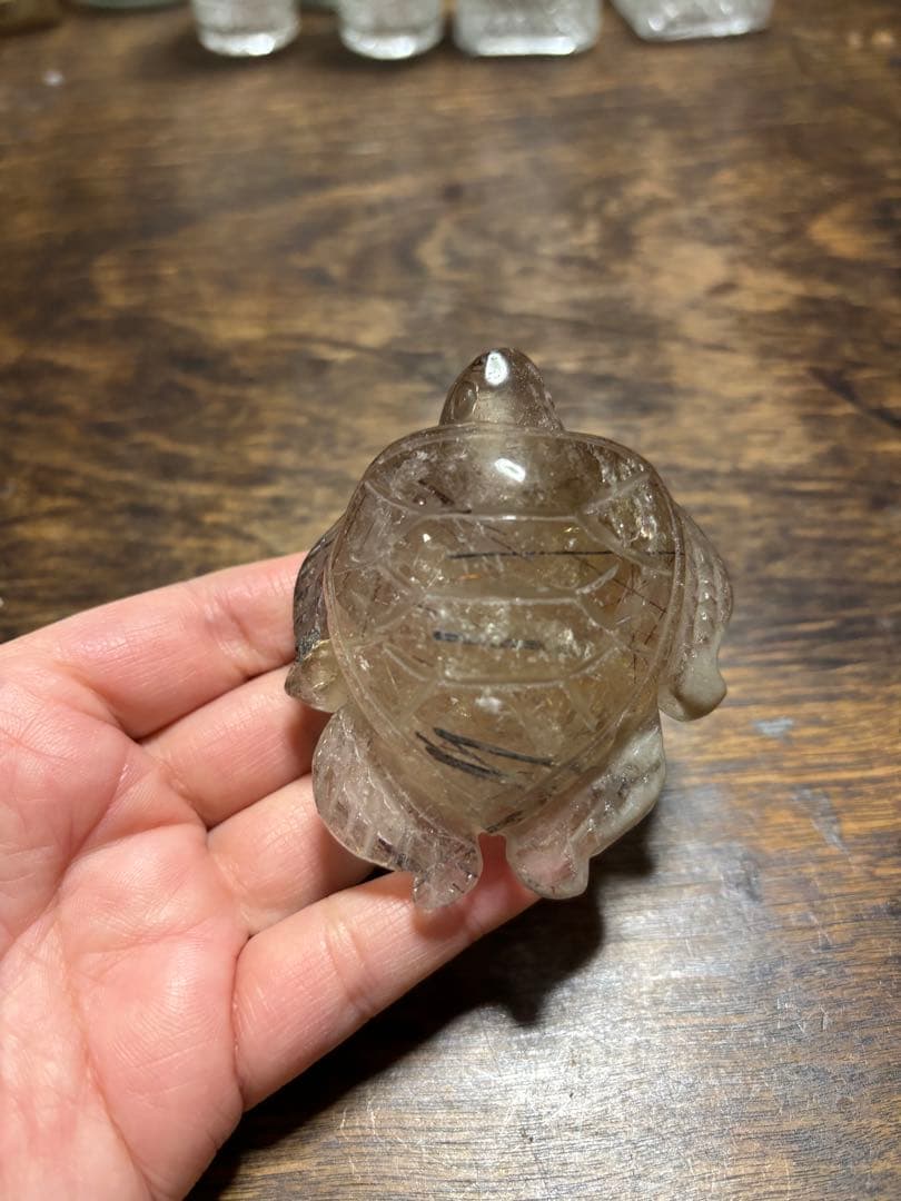 ブラックルチル　カメ　カービング　レッドルチル