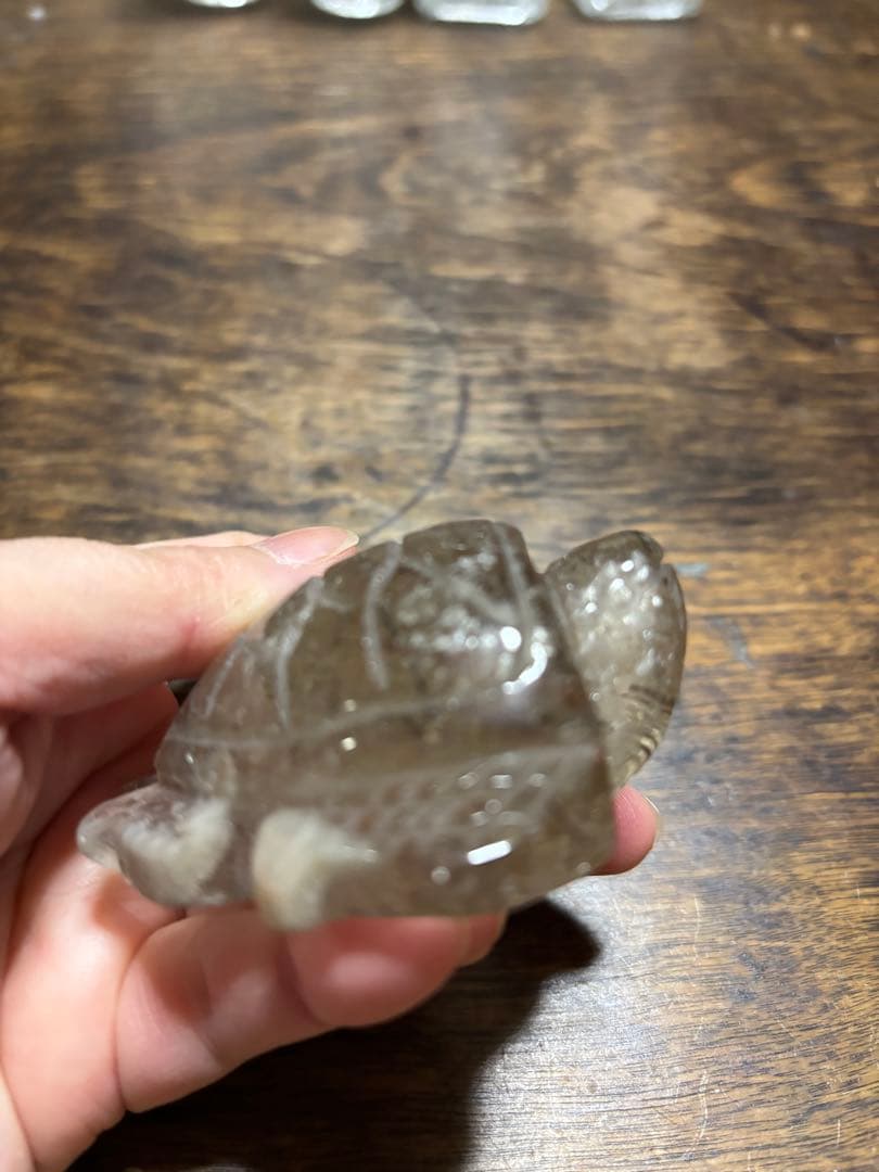 ブラックルチル　カメ　カービング　レッドルチル