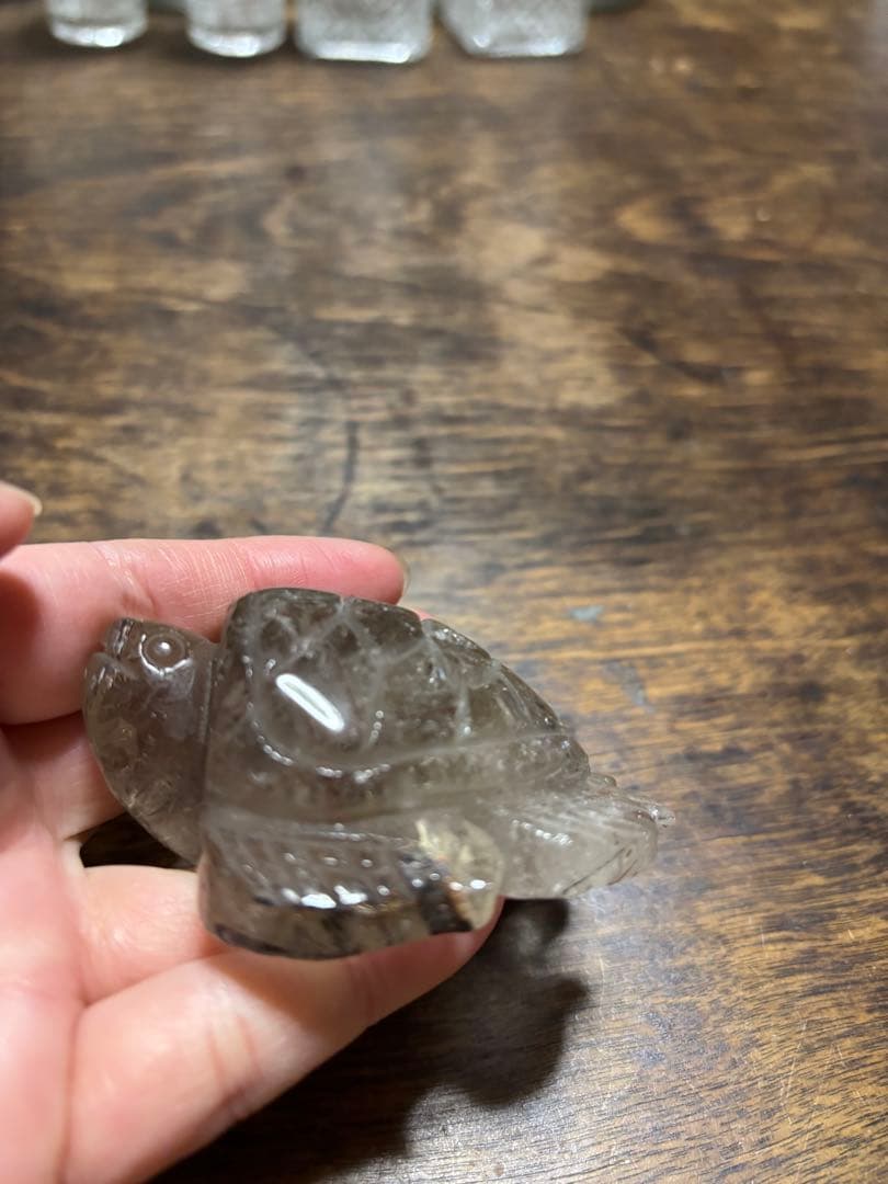 ブラックルチル　カメ　カービング　レッドルチル