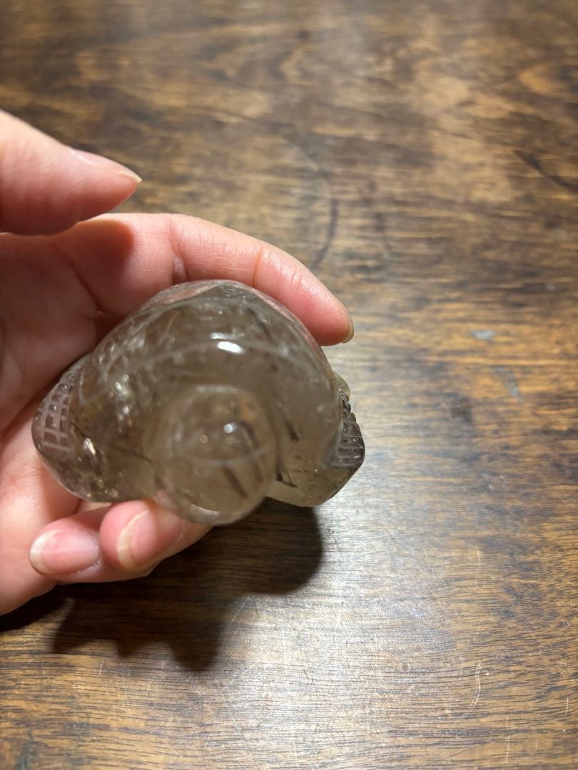 ブラックルチル　カメ　カービング　レッドルチル