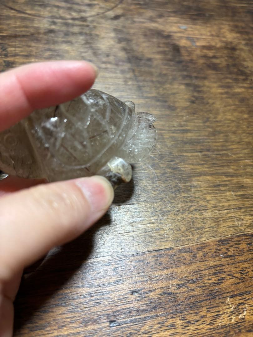 ブラックルチル　カメ　カービング　レッドルチル