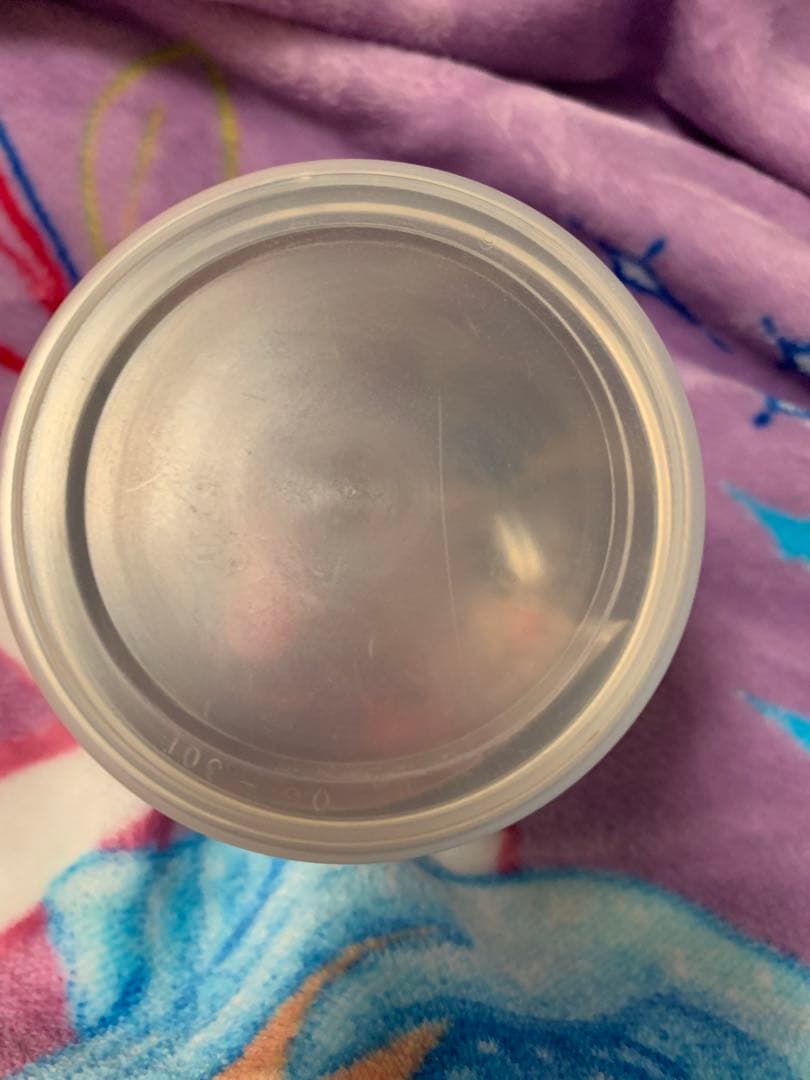 あいのり ガールズバンドMi(エムアイ)直筆サイン入りグッズ 有名人 サイン