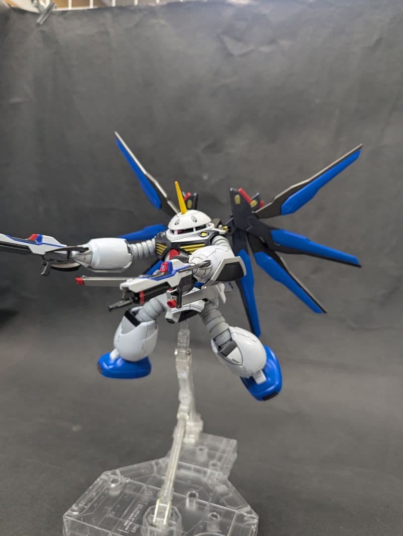 HGズゴック キャリアバーアイフリット、マイティーストライクフリーダム付き