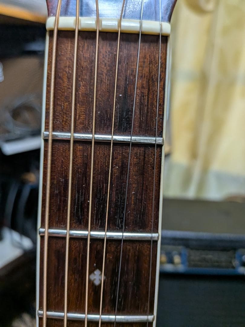 オンリーワン！Sandpiper ローレンス 2系統出力アンプ・生音動画！