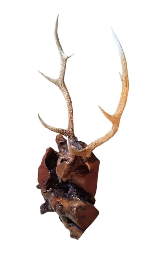 鹿の角　大型　木製　ツノ