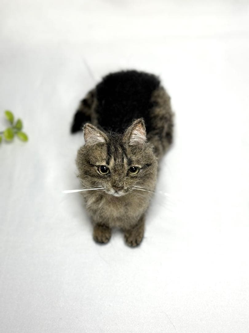 みみにゃんこ様 作業ご確認ページ