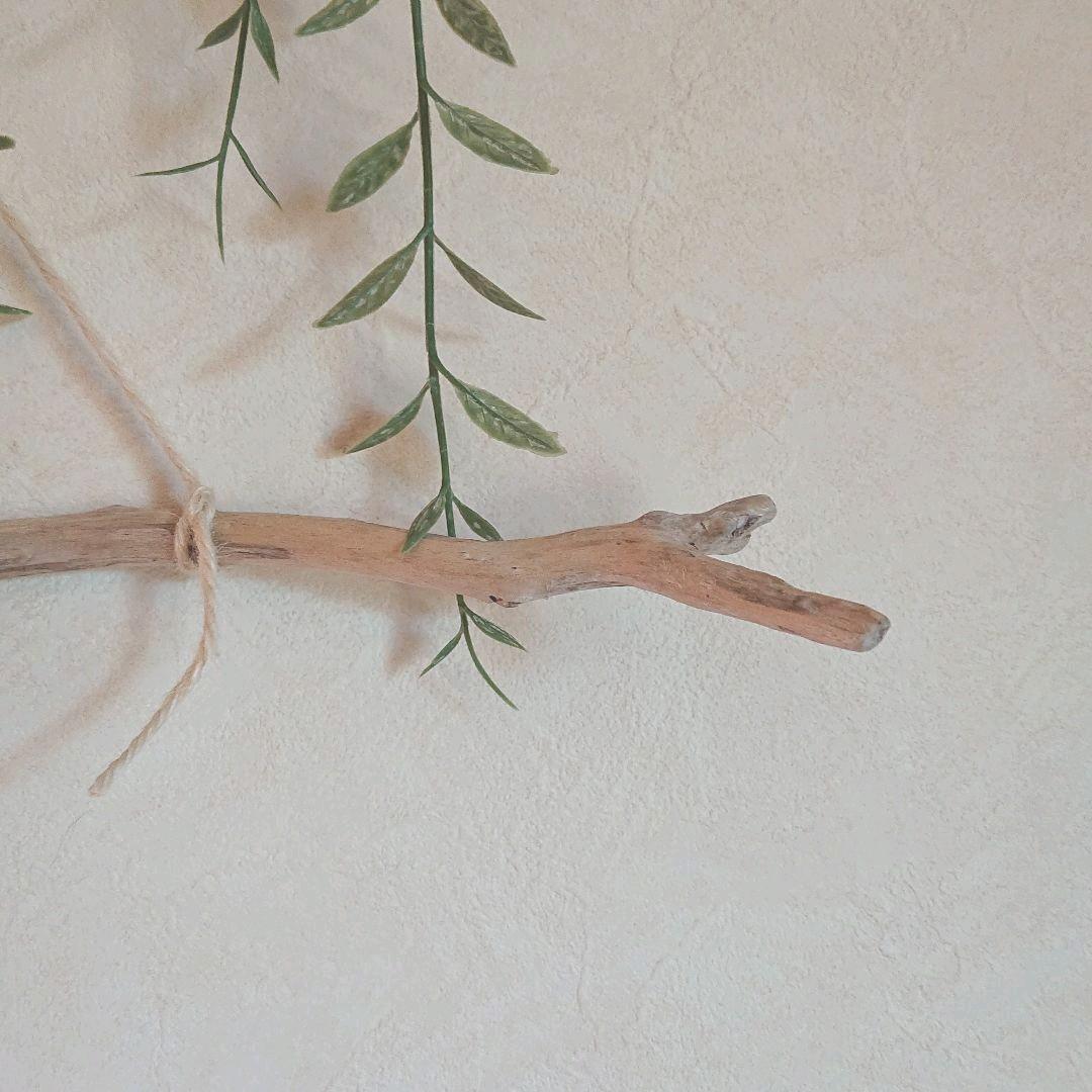 流木インテリアハンガーno.52