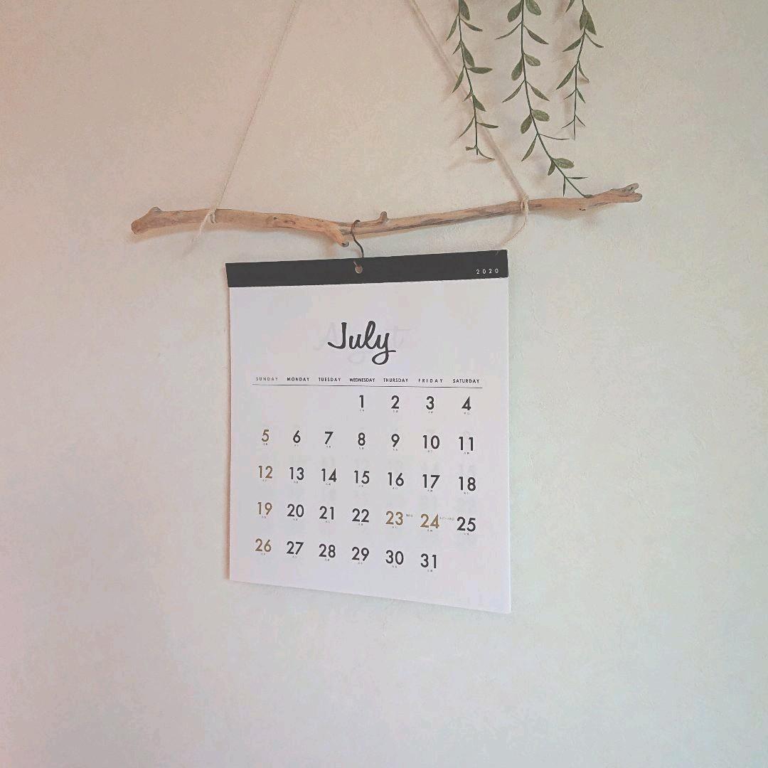 流木インテリアハンガーno.52