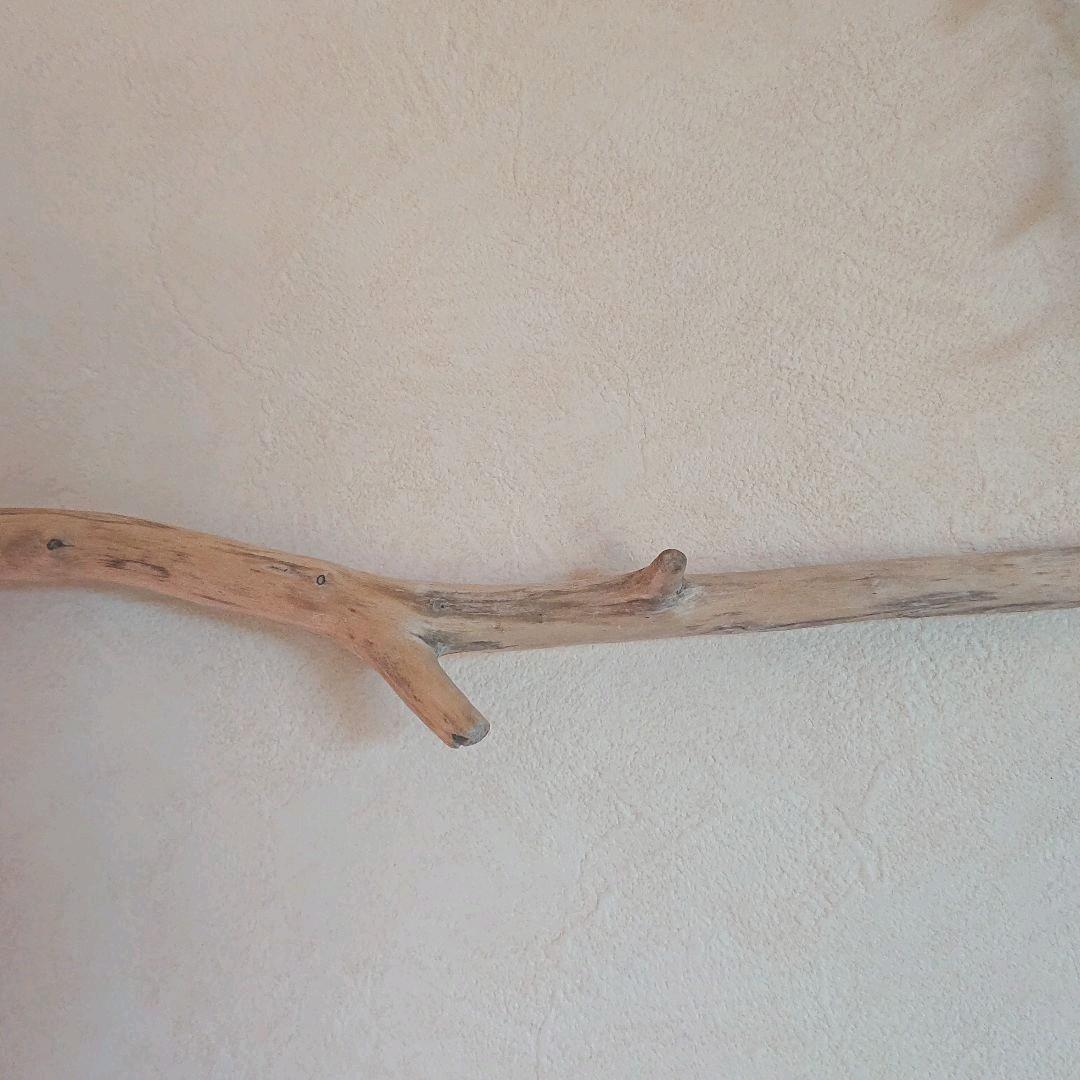 流木インテリアハンガーno.52