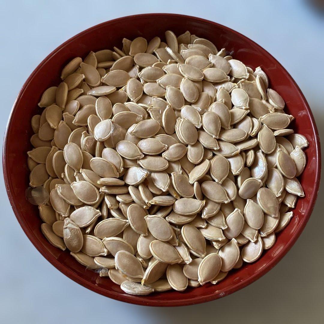 殻付き松の実2キロ