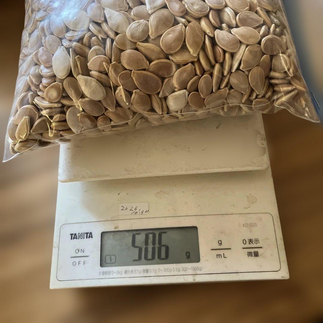 殻付き松の実2キロ