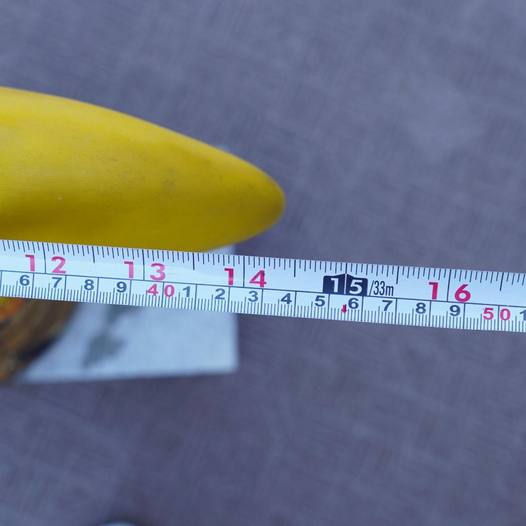 特大 レジン製 フィギュア オオハシ トォーカン ギネスビール マスコット