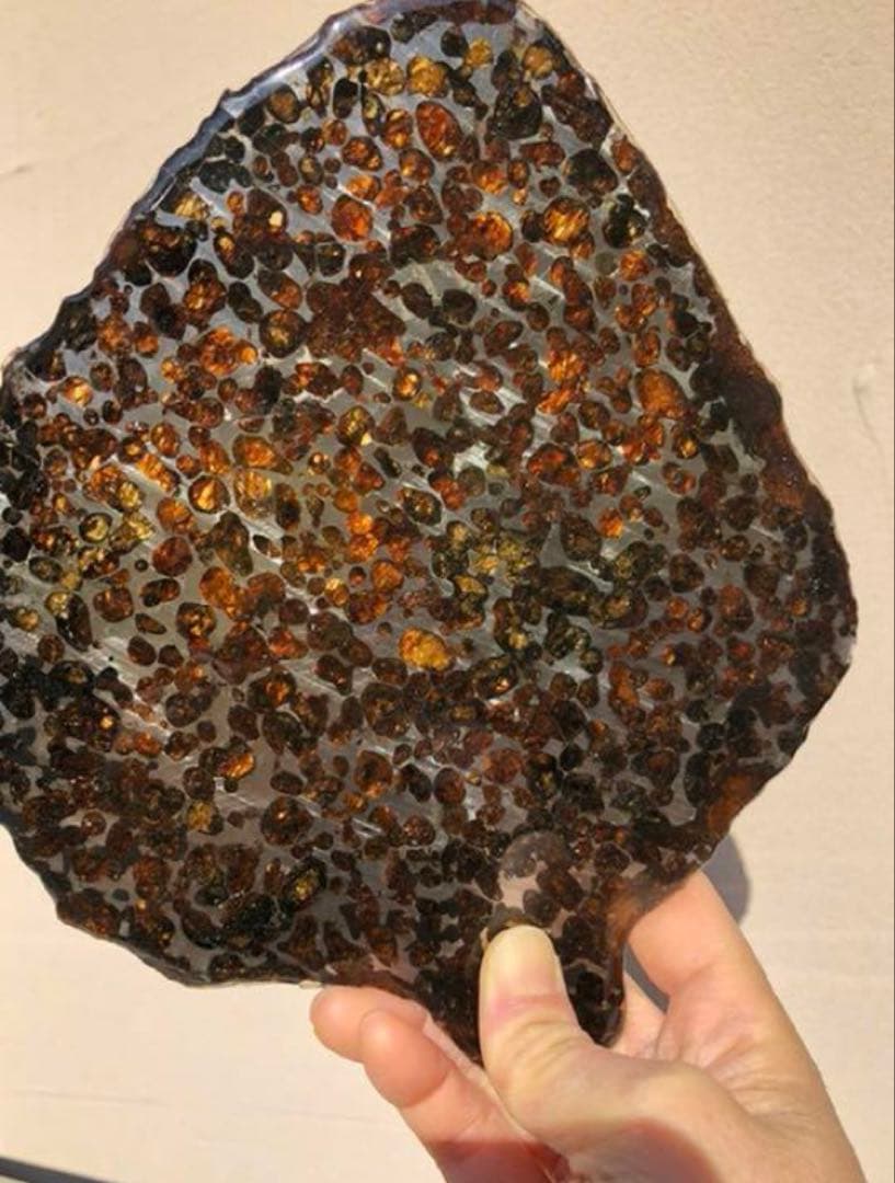 セリコ 隕石プレート 鑑別書付き 230.72g