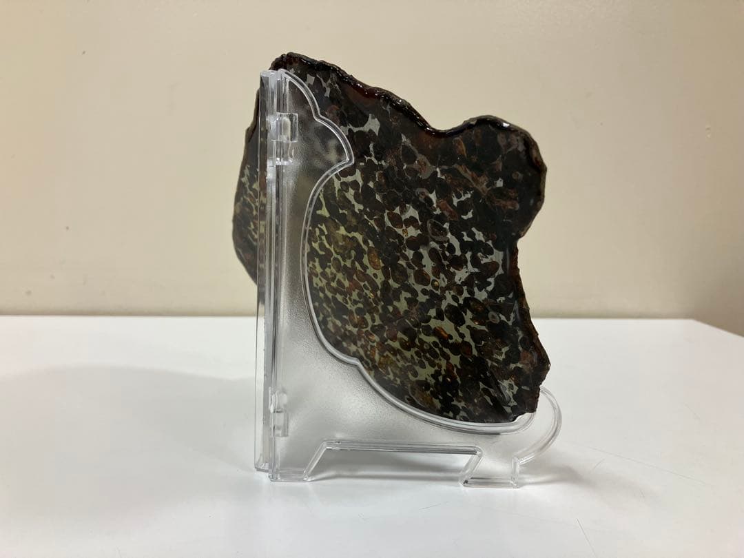 セリコ 隕石プレート 鑑別書付き 230.72g