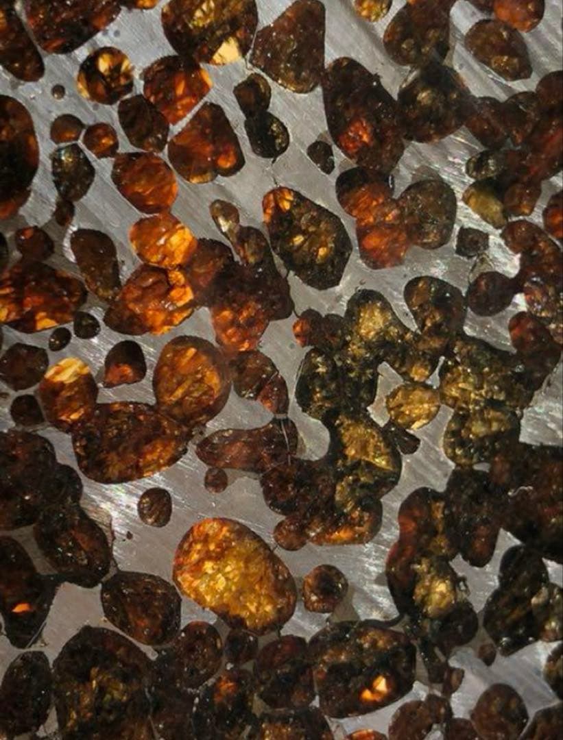 セリコ 隕石プレート 鑑別書付き 230.72g