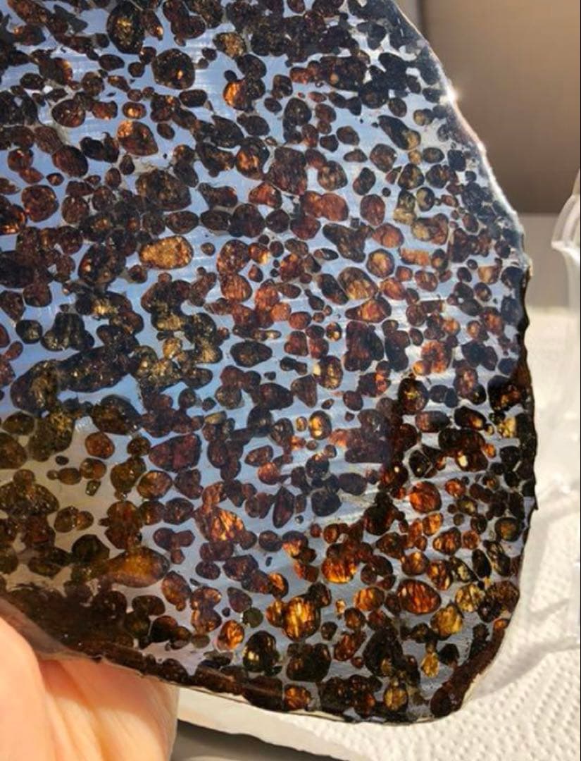 セリコ 隕石プレート 鑑別書付き 230.72g