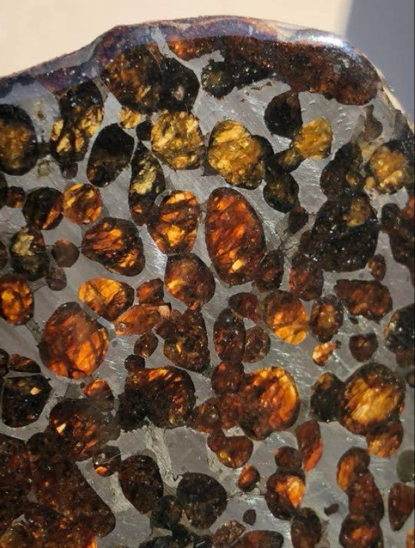 セリコ 隕石プレート 鑑別書付き 230.72g