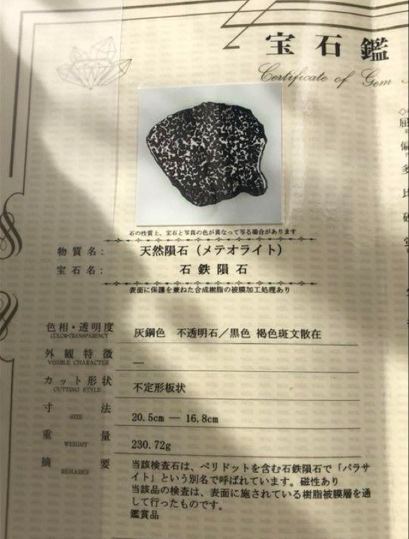 セリコ 隕石プレート 鑑別書付き 230.72g