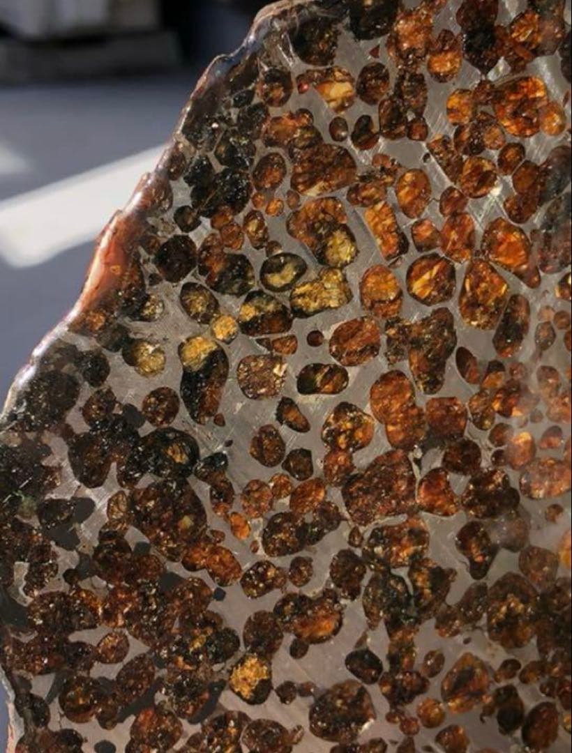 セリコ 隕石プレート 鑑別書付き 230.72g