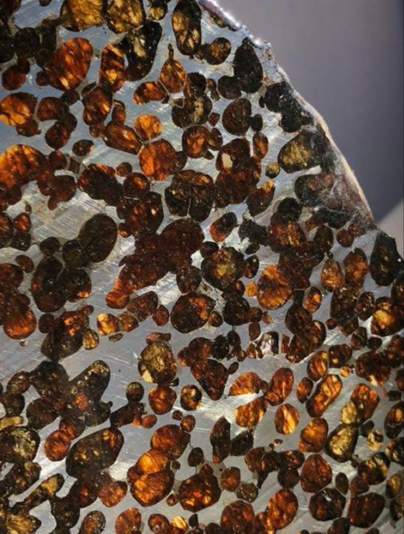 セリコ 隕石プレート 鑑別書付き 230.72g