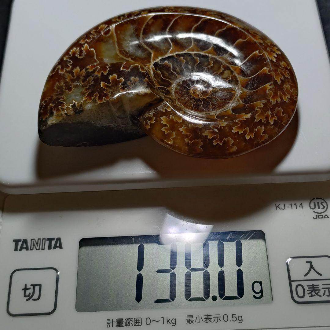 ★アンモナイト小物入れ 138.0gB(SA+)