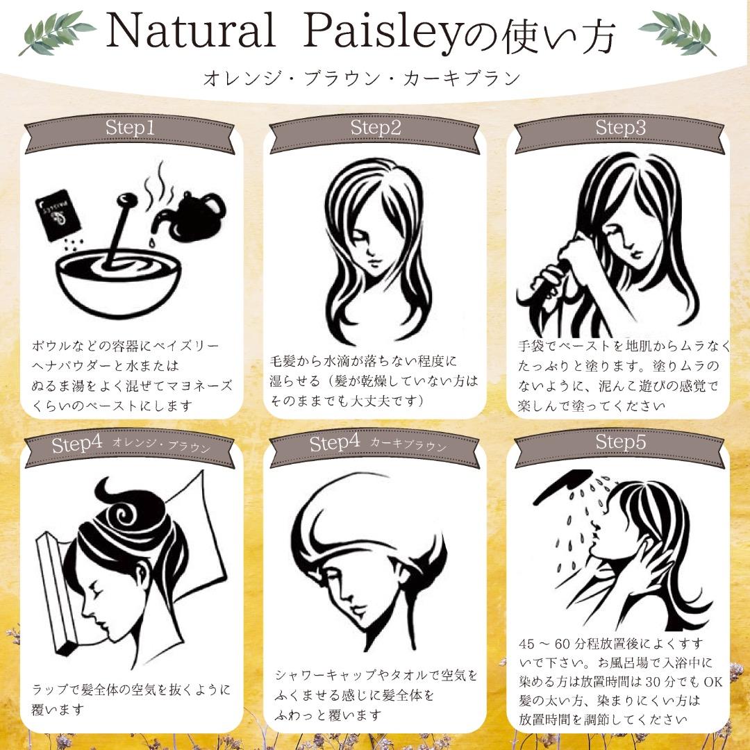 オーガニックヘナ【最高AAAランク高品質ヘナ】ヘナ白髪染め オレンジ