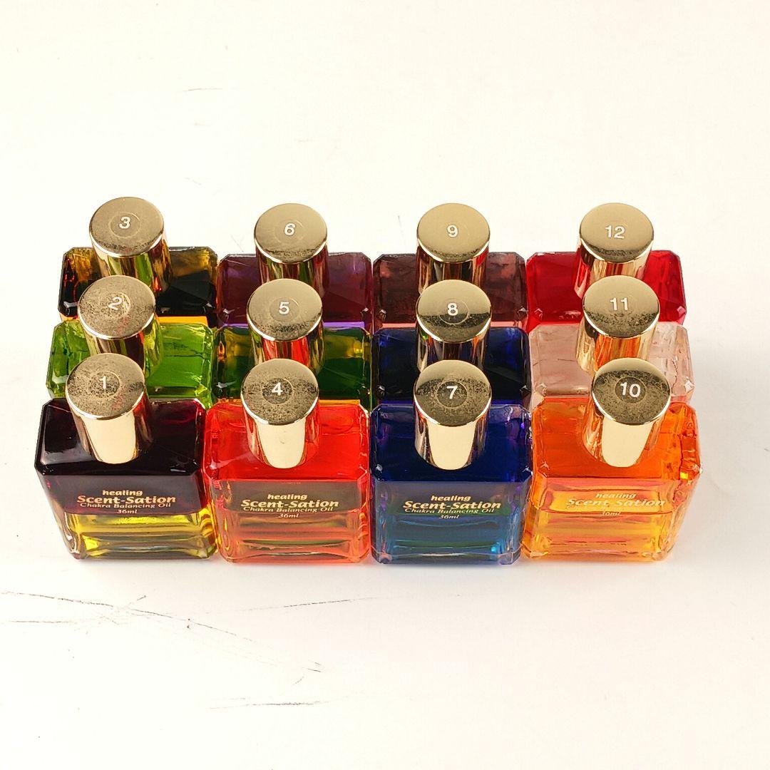 Y3214-2 センセーションビコロール カラーボトル 12本セット 36ml