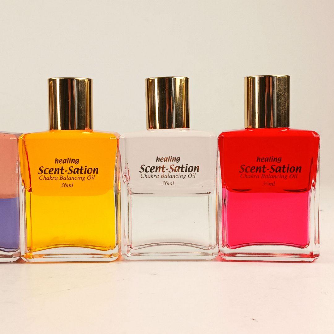 Y3214-2 センセーションビコロール カラーボトル 12本セット 36ml