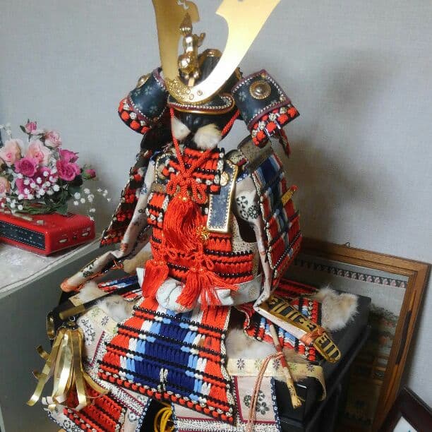 五月人形　鎧兜